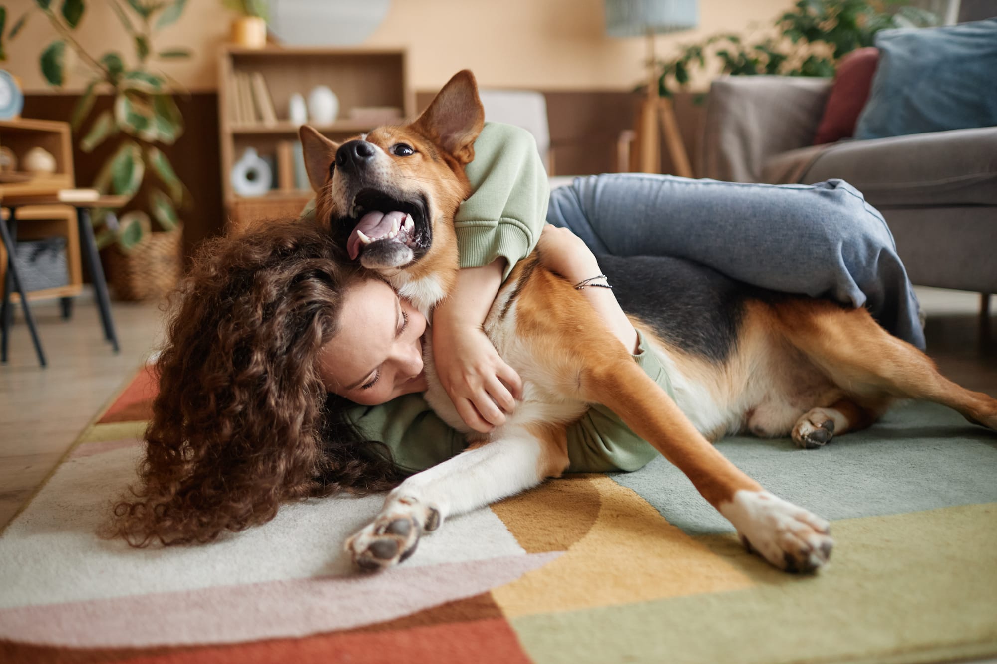 Mental stimulation for dogs: understanding the hierarchy of canine needs