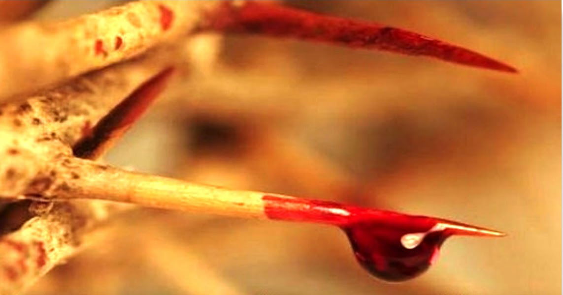 "THE SHED BLOOD OF JESUS CHRIST"