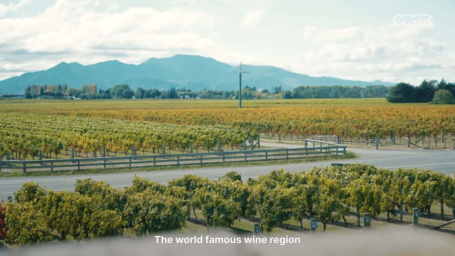 Local Access - VICE/Pure NZ