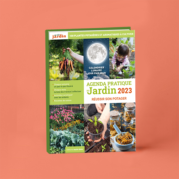 Agendas, guides, beaux livres (pratique), jeunesse...