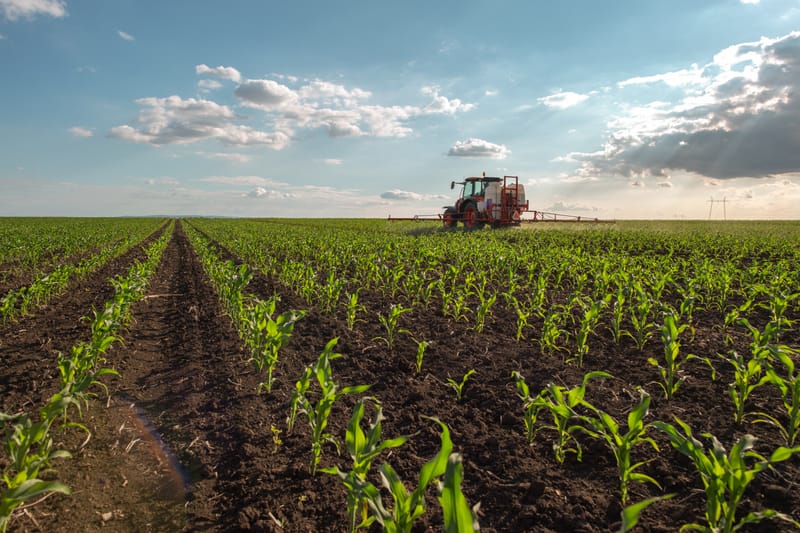 תבע 40 שנה אחרי פטירת אמו: אני הכי מתאים לקיים את המשק
