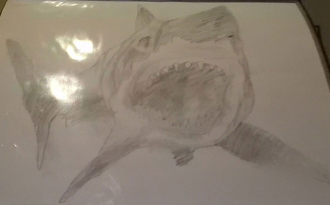 Fredrick