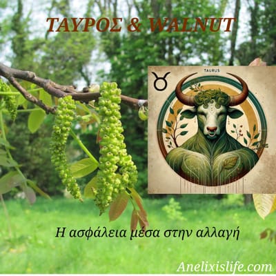 Ταύρος & Walnut                                      Η Τέχνη της Σταθερότητας μέσα στην Αλλαγή