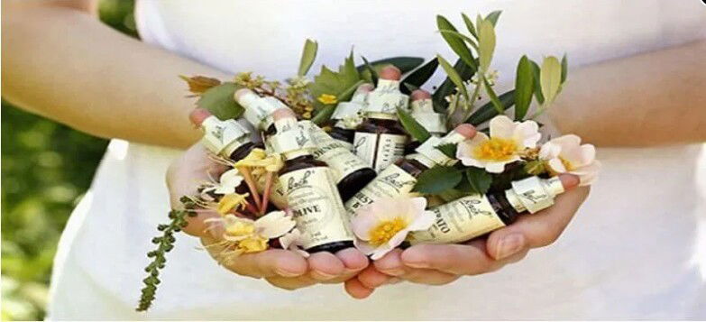 ΑΝΘΟΪΑΜΑΤΑ BACH