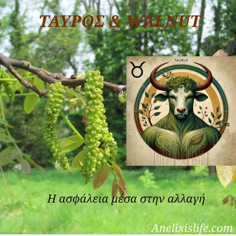 Ταύρος & Walnut                                      Η Τέχνη της Σταθερότητας μέσα στην Αλλαγή