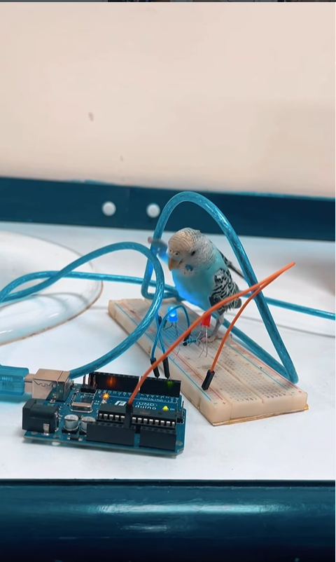 دورة تدريبية في أنظمة الروبوتات بالتعاون مع جمعية اطفال فتافيت السكر