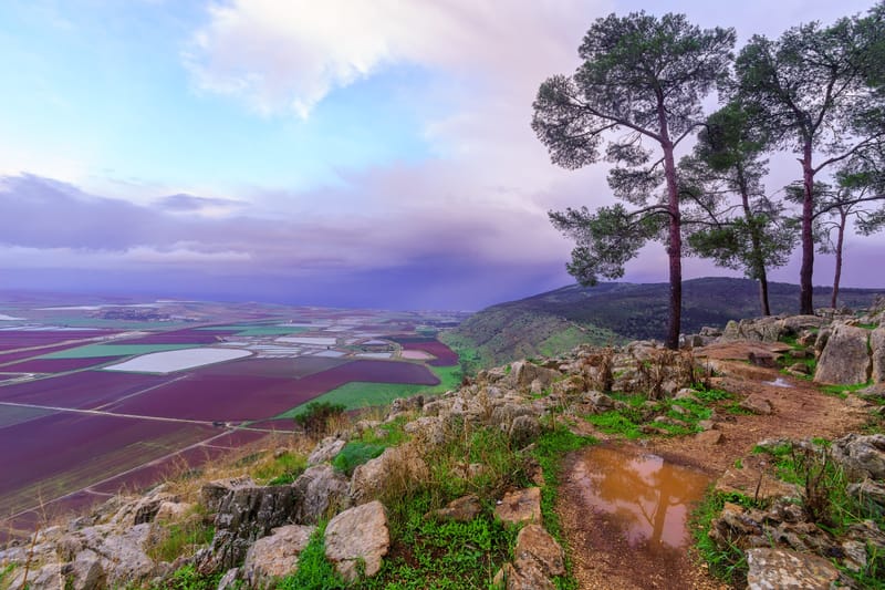 בין שאול המלך ליהושע חנקין