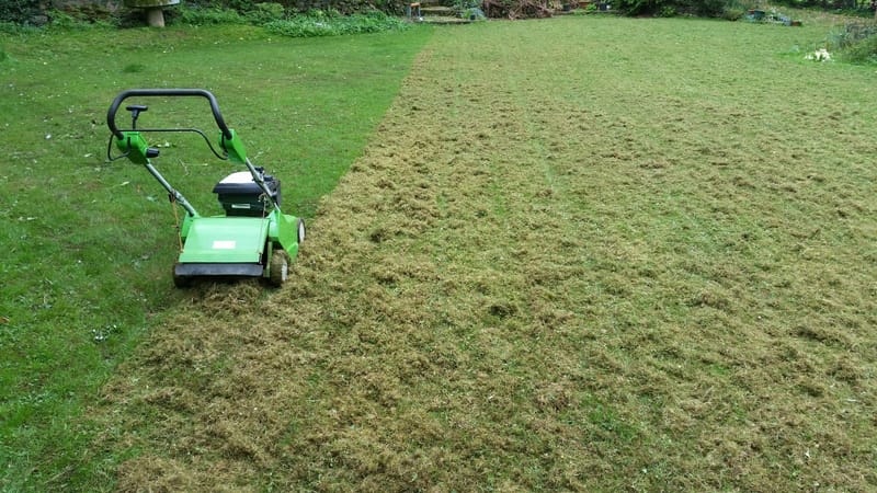 Tundere gazon, scarificare, aplicare ingrasamant