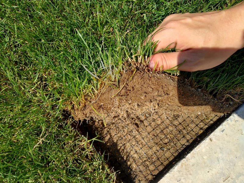 Pregatirea Profesionala a Terenului pentru un Gazon Perfect