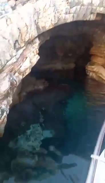 TENGERI, HAJÓZÁSI PROGRAMOK