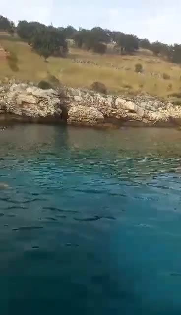 TENGERI, HAJÓZÁSI PROGRAMOK