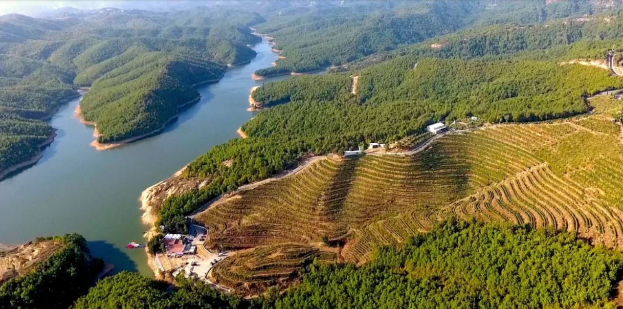 KANTINÁ (BORÁSZATOK) LÁTOGATÁS