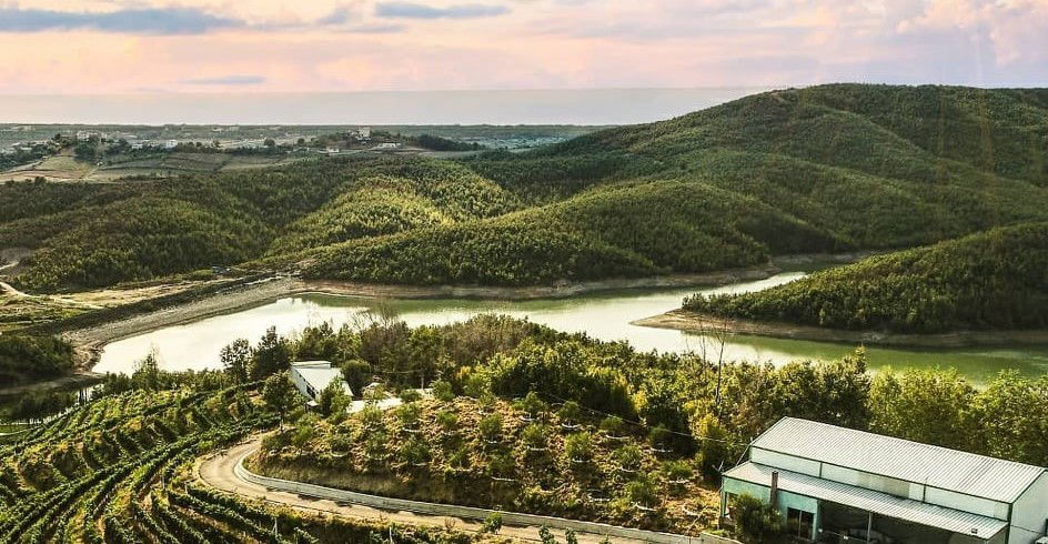 KANTINÁ (BORÁSZATOK) LÁTOGATÁS