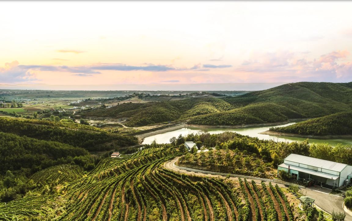 KANTINÁ (BORÁSZATOK) LÁTOGATÁS