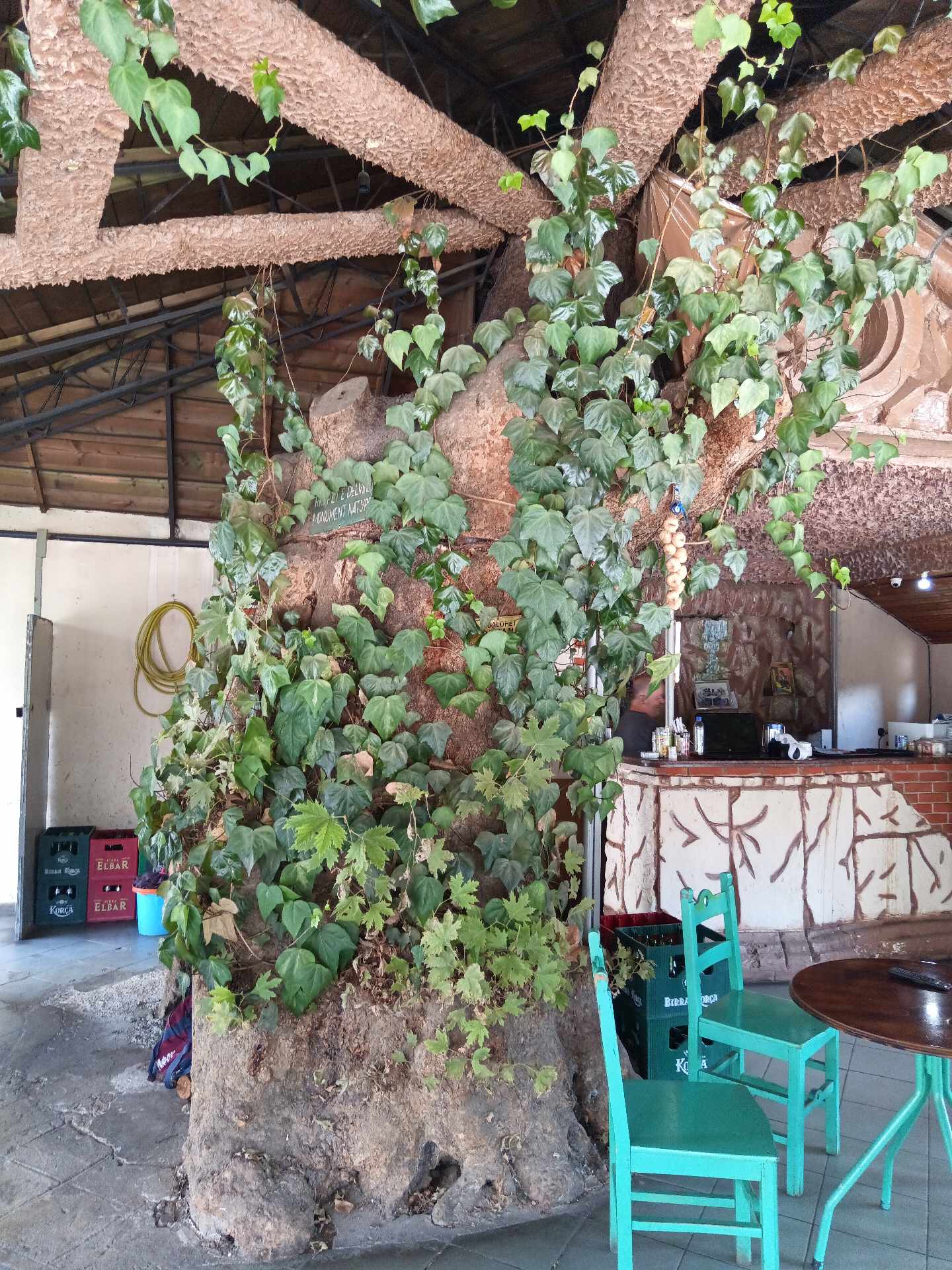 SARANDA ÉS KÖRNYÉKE TURISZTIKAI PROGRAMOK, KIRÁNDULÁSOK, TÚRÁK