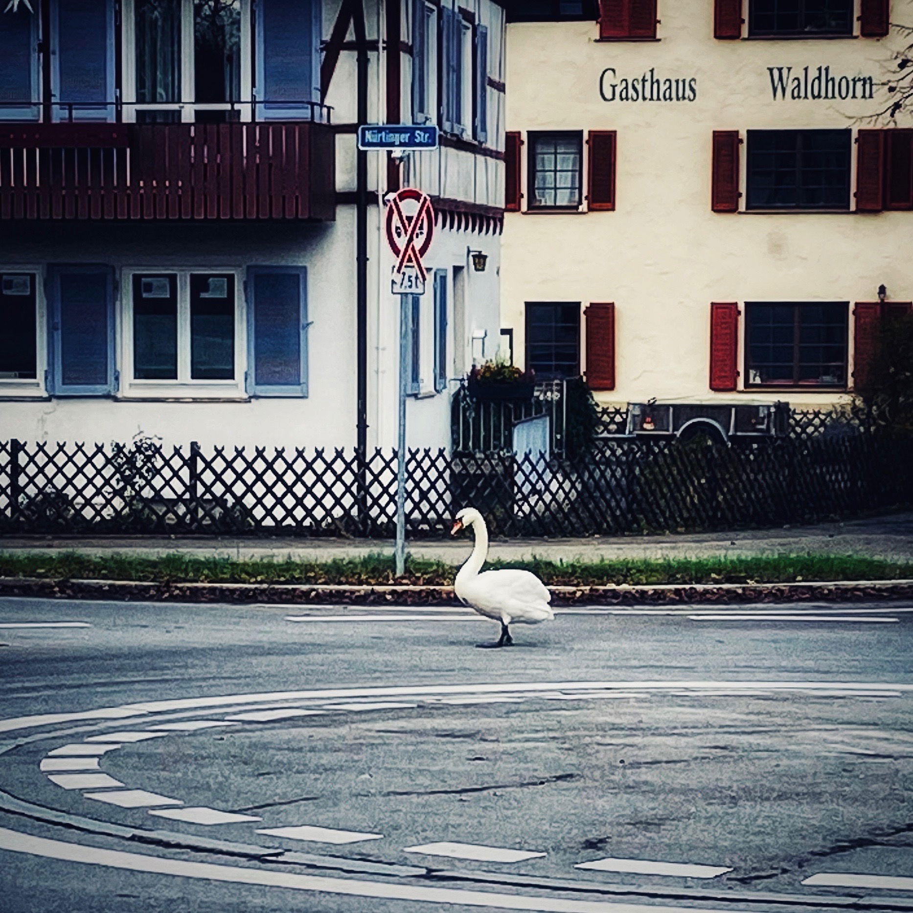 Gasthaus zum Schwanen?