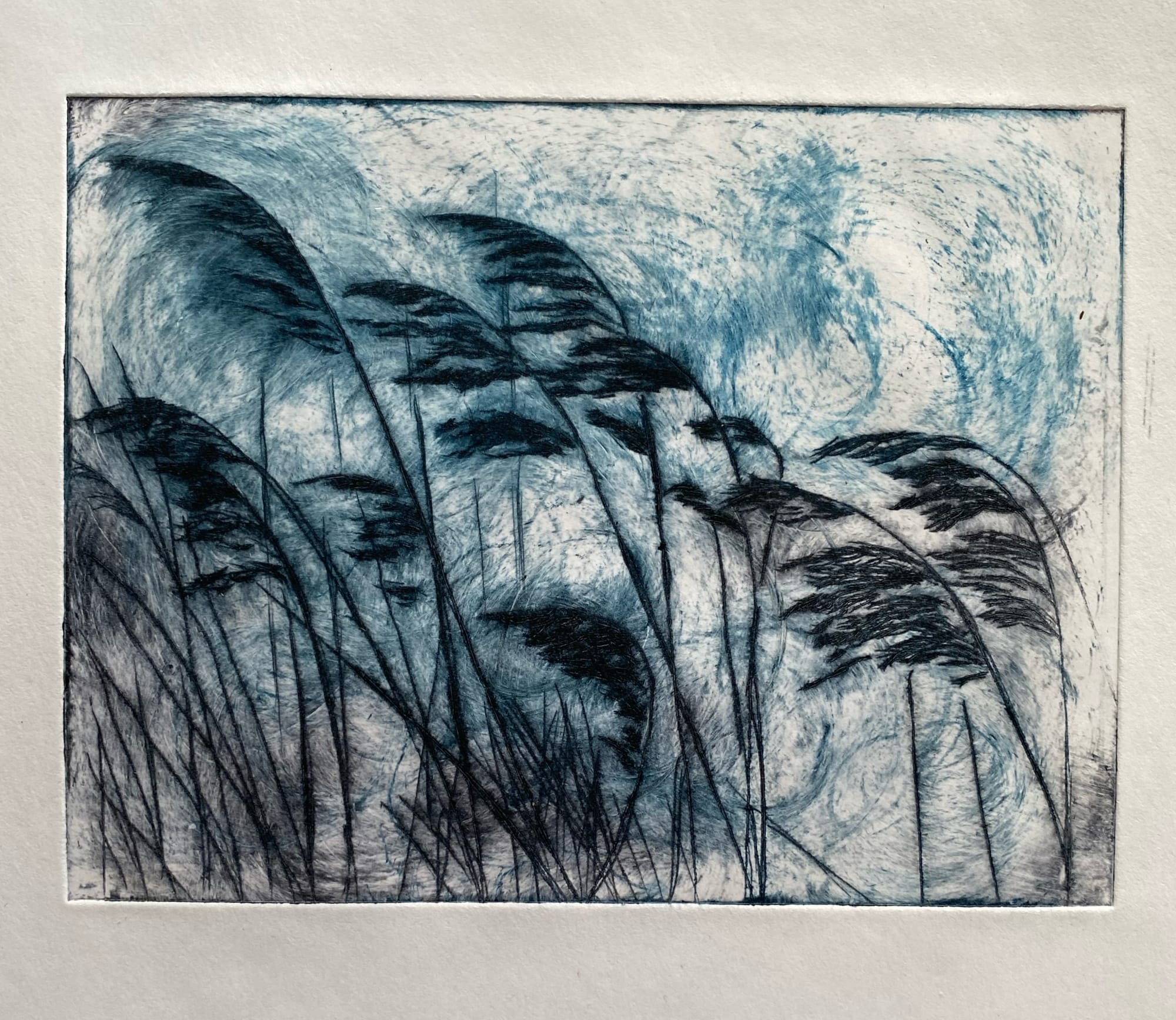 Tanz im Wind