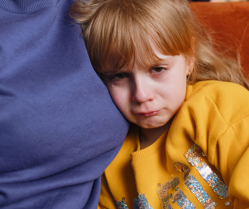 סדנה ייחודית לגננות: כלים מעשיים להתמודדות עם הפרעות התנהגות, חרדות וטראומות