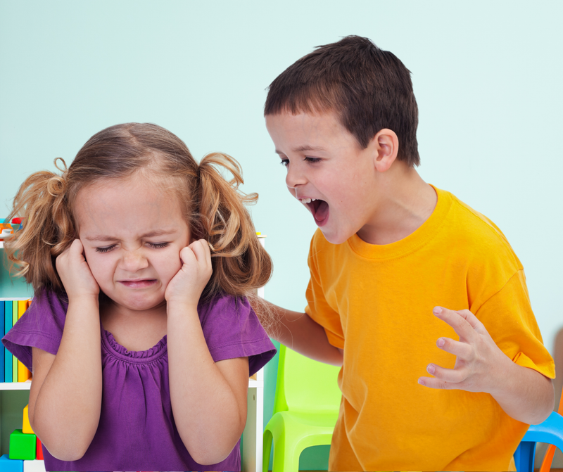 סדנה לניהול קונפליקטים ופתרון בעיות בגן