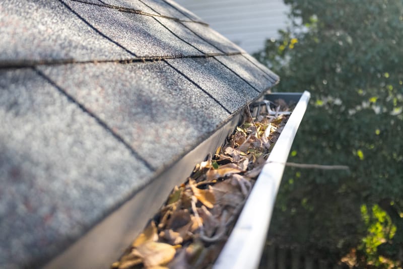 Gutter Cleaning