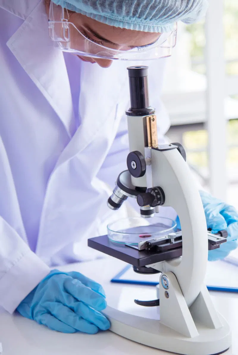 Module 2: organiser l'évaluation des apprentissages en ligne dans les écoles, universités, granddes écoles et autres entités