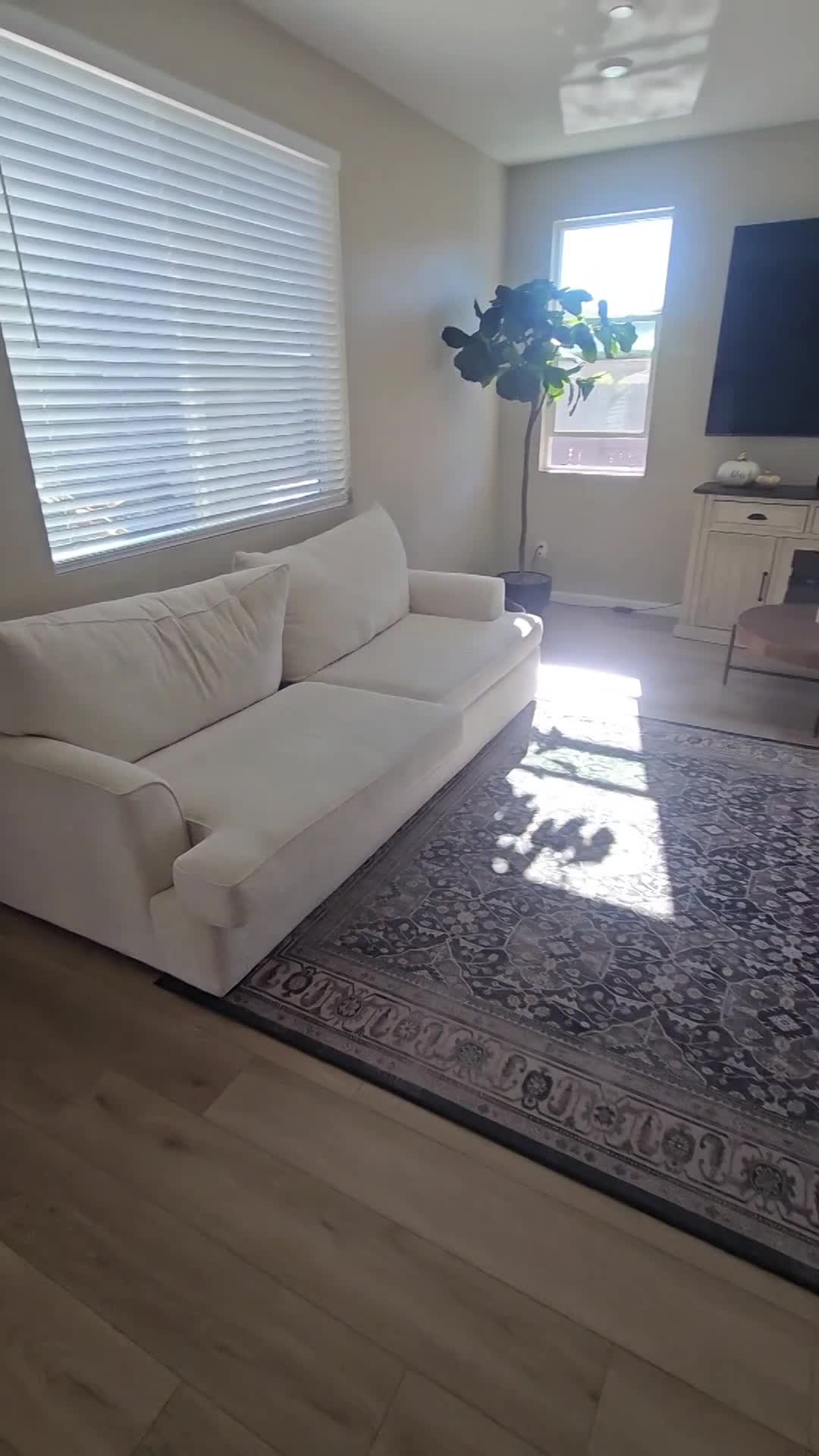 Why is regular furniture cleaning necessary?!