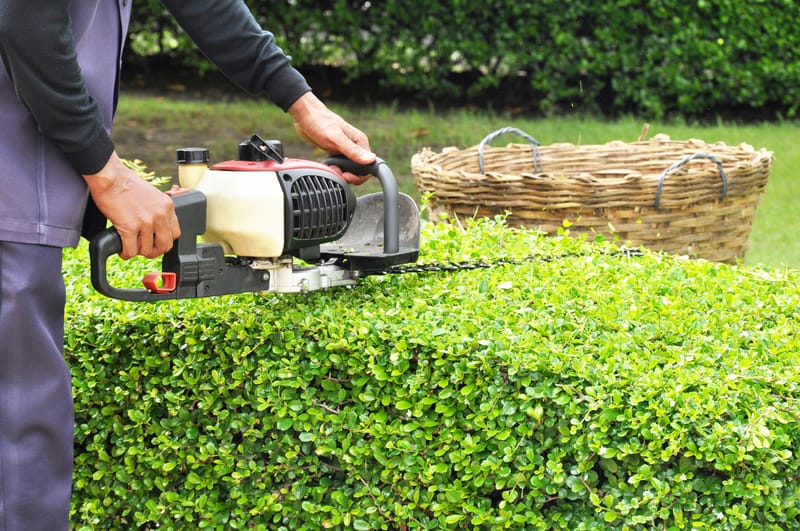 Garden Maintenance