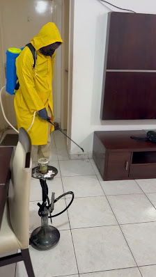Qatarat Pest Controlشركة مكافحة حشرات في الشارقة: أفضل