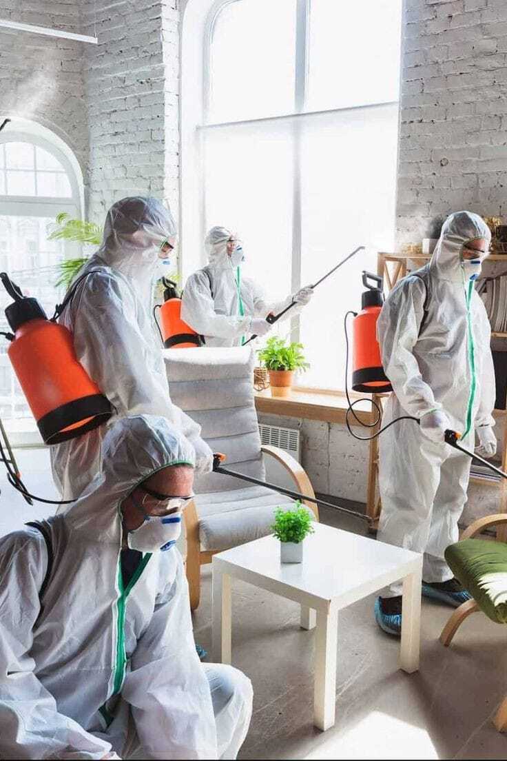 خصم 30% من قطرات شركة مكافحة حشرات في الشارقة على رش المبيدات
