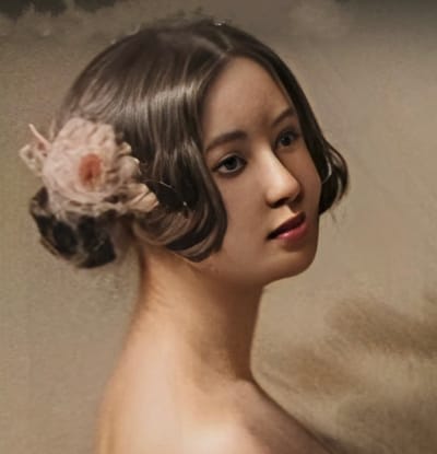 Marie Pleyel, un personnage romanesque