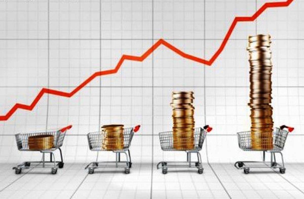 EKONOMSKI ČIMBENICI I NJIHOV UTJECAJ NA ŽIVOTNI STANDARD OSOBA S INVALIDITETOM U MALIM SREDINAMA