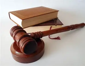 PRAVOBRANITELJI I NJIHOVA ULOGA U SUDSKIM SPOROVIMA