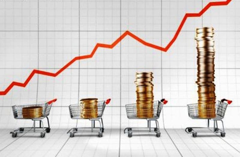 EKONOMSKI ČIMBENICI I NJIHOV UTJECAJ NA ŽIVOTNI STANDARD OSOBA S INVALIDITETOM U MALIM SREDINAMA