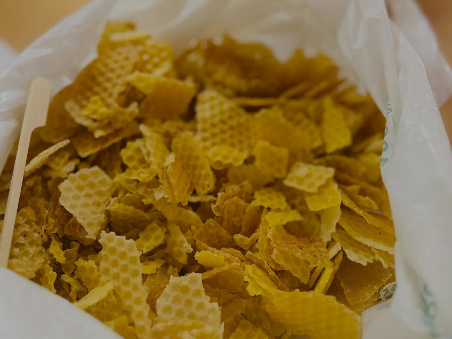 🌿 Atelier Santé Environnement🌿