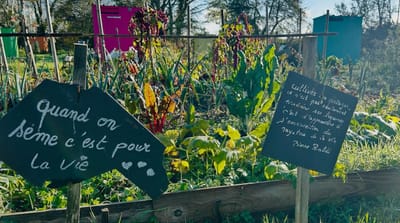 ✨ Une belle sortie aux jardins familiaux de Langon ! 🌿🌞