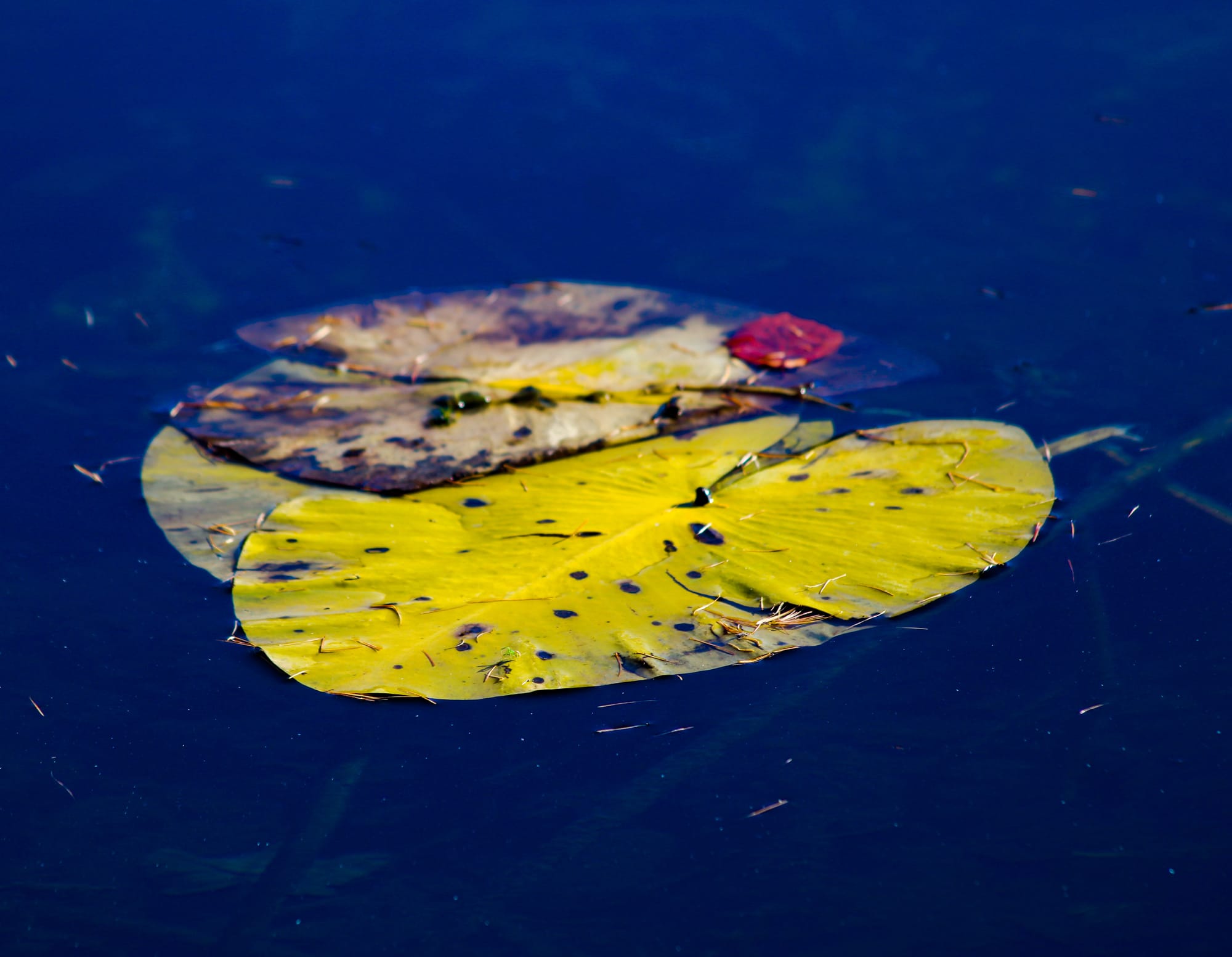 Lago di Cei - Trentino (Italy)