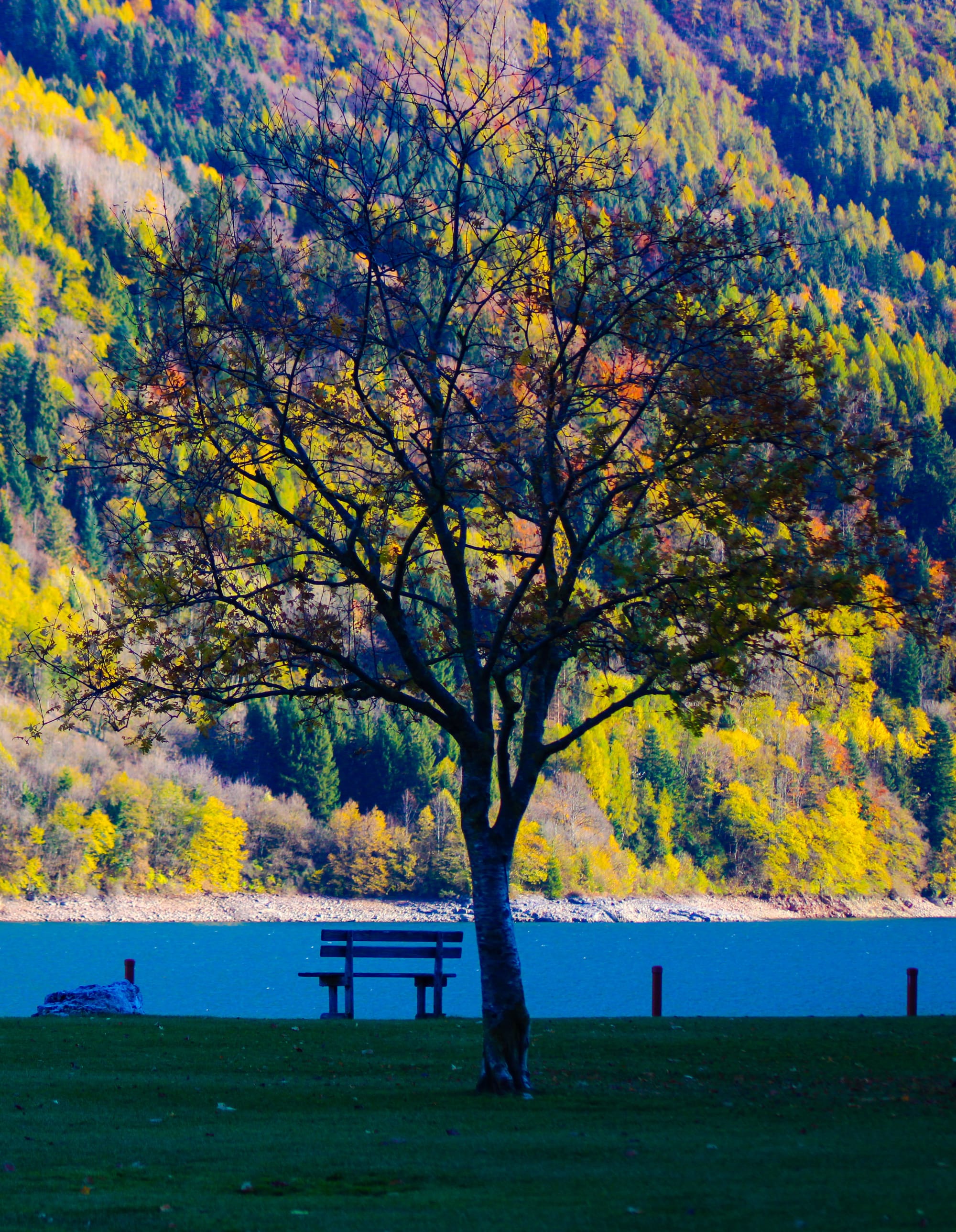 Lago di Molveno - Trentino (Italy)
