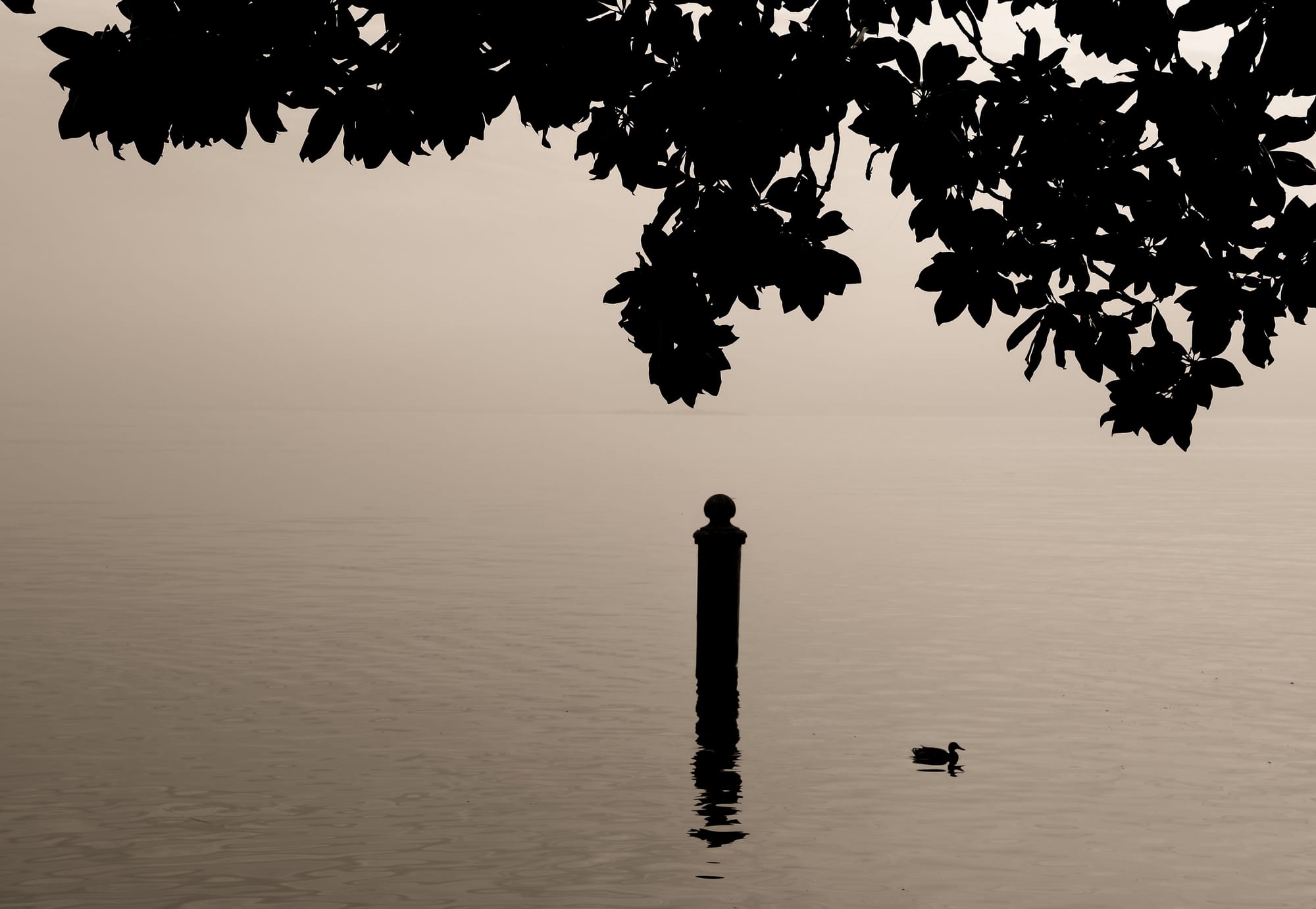 Lago di Garda (Italy)