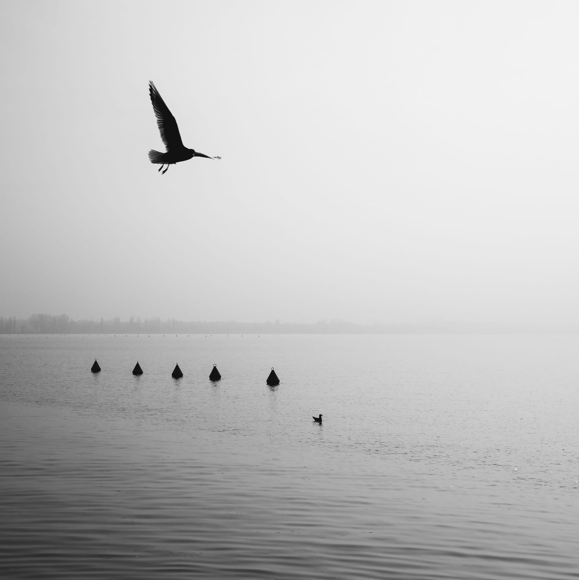 Lago di Garda (Italy)