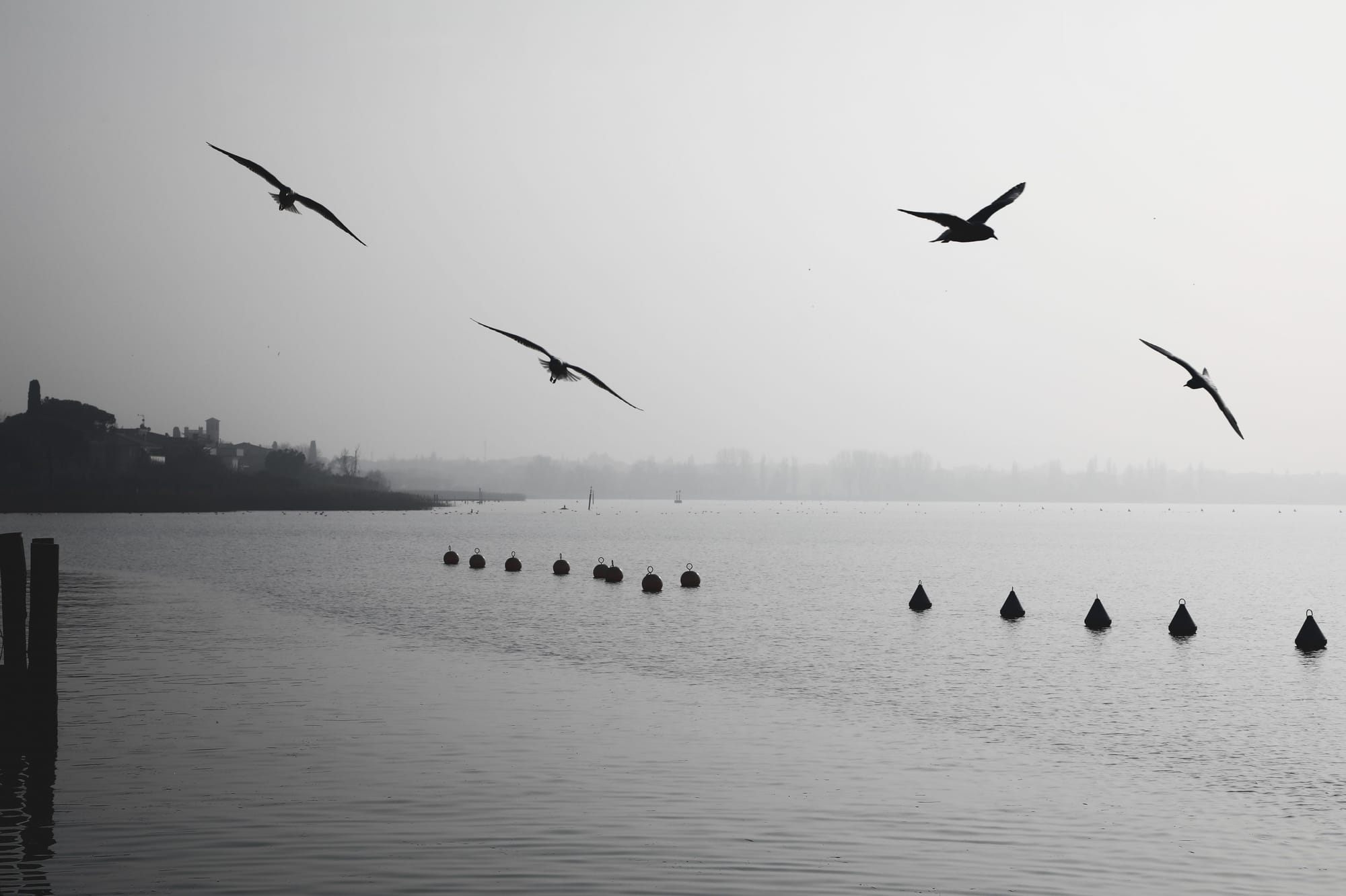 Lago di Garda (Italy)