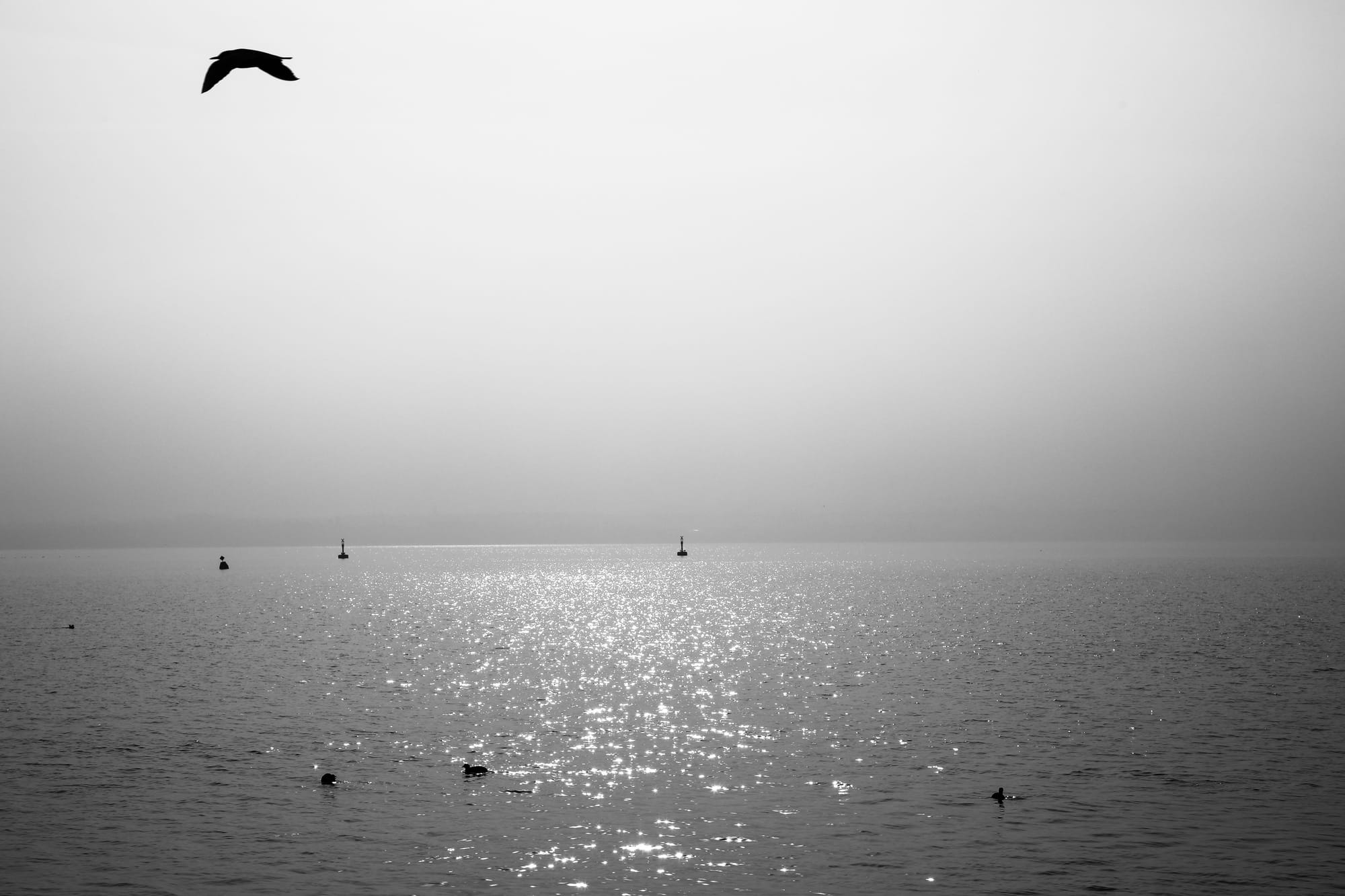 Lago di Garda (Italy)