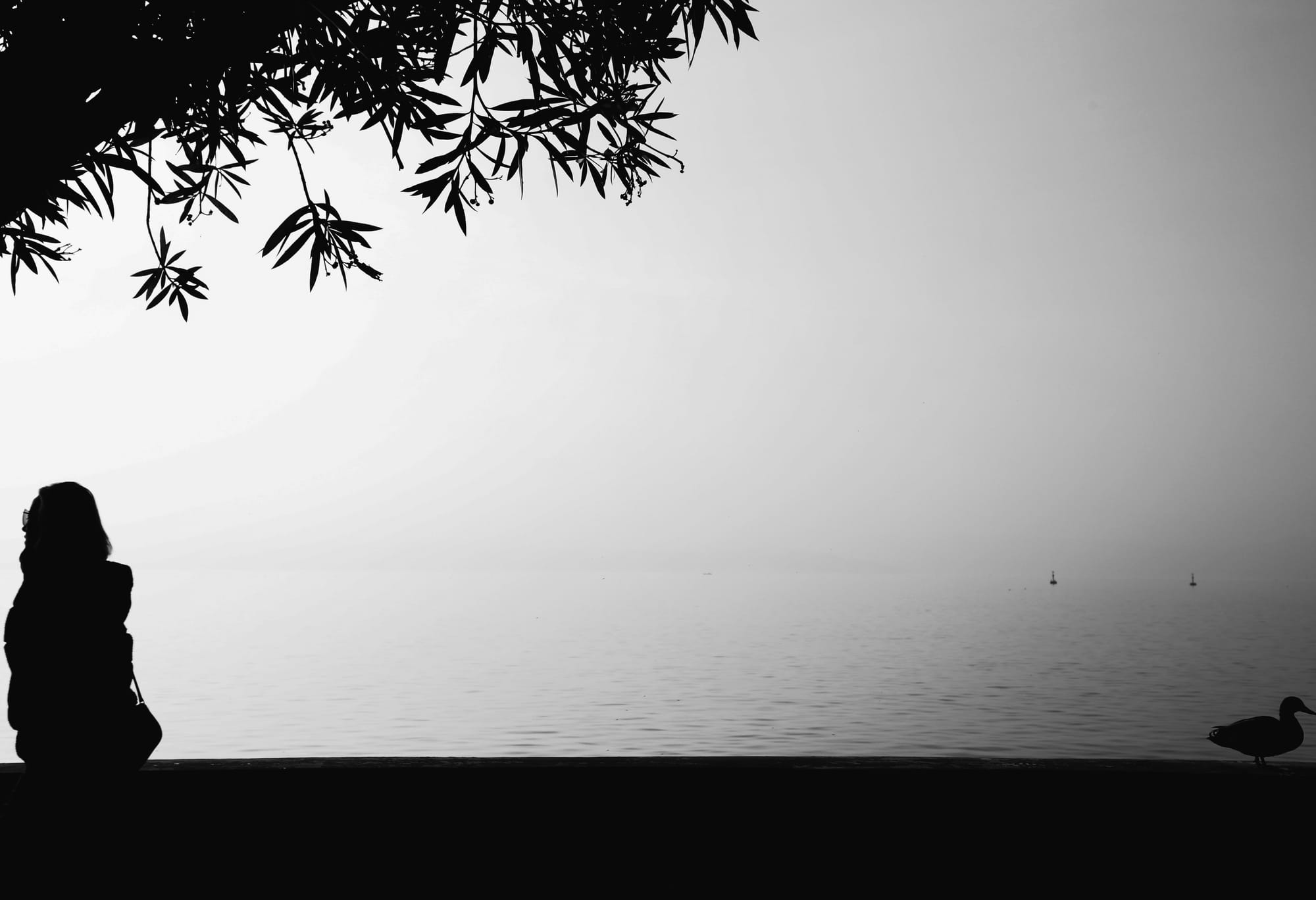 Lago di Garda (Italy)