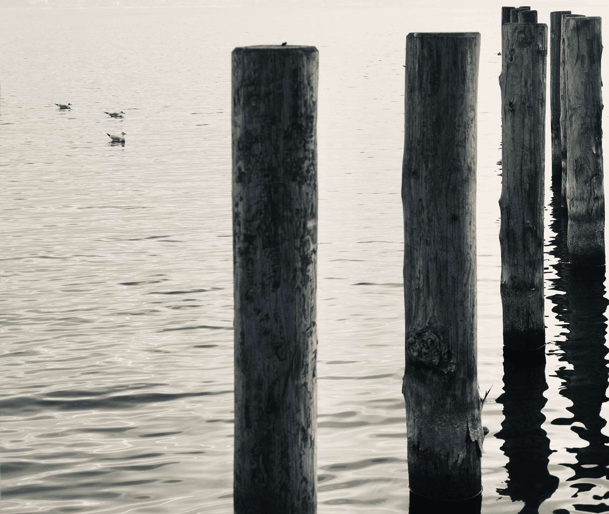 Lago di Garda (Italy)