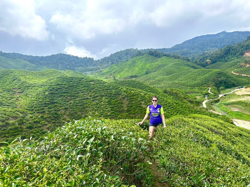 Cameron Highlands