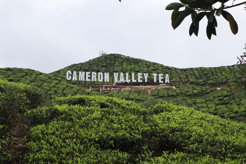 Cameron Highlands