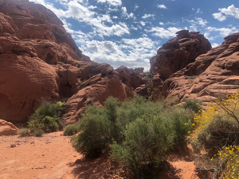 L'immensité de l'Ouest américain