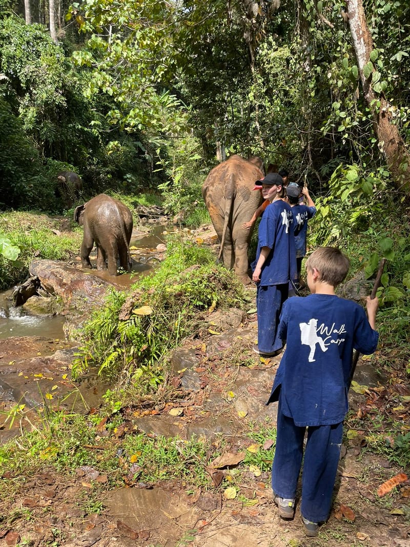 Le Nord de la Thaïlande