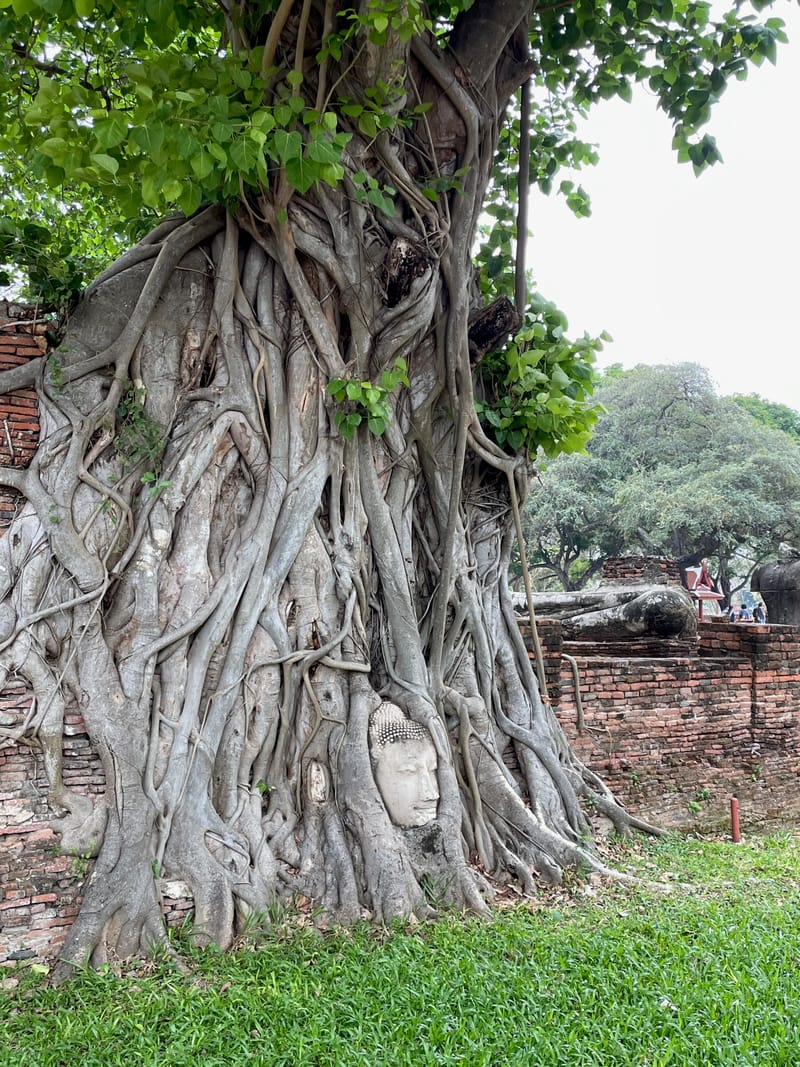 Le Nord de la Thaïlande