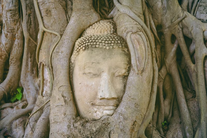 Le Nord de la Thaïlande