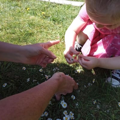 Local Nursery in Waterlooville